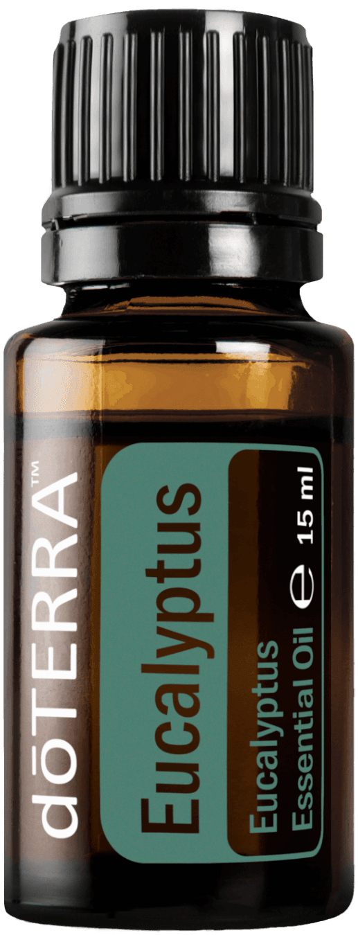 Eucalyptus